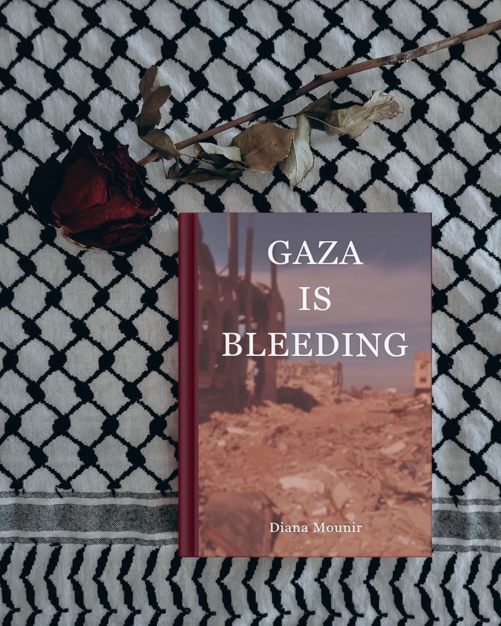 Gaza Is Bleeding 